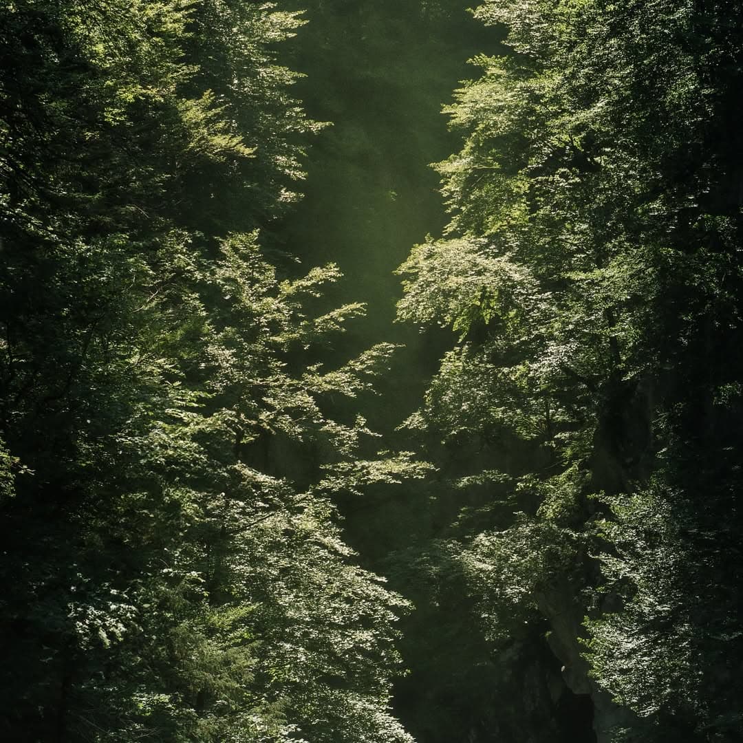 Hvor naturen taler, og lyset viser vej.