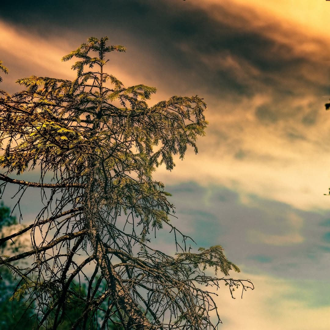 A collection of idyll and landscapes from Austria.